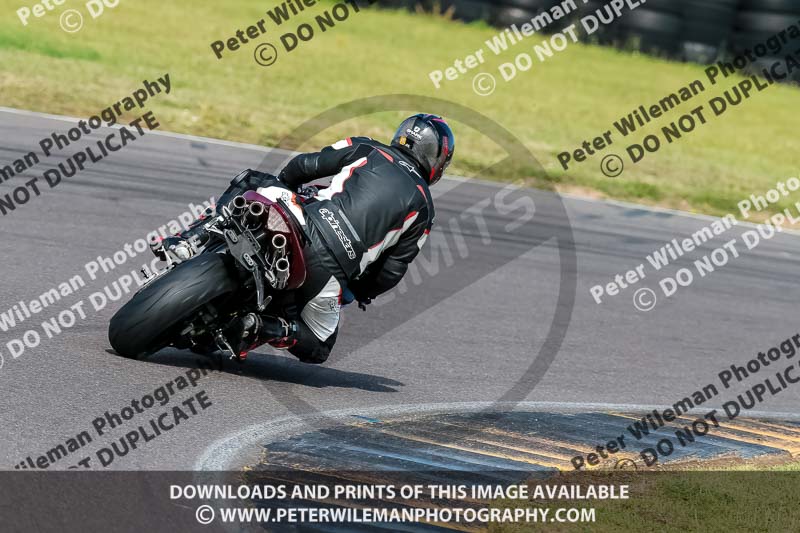 PJ Motorsport 2019;anglesey no limits trackday;anglesey photographs;anglesey trackday photographs;enduro digital images;event digital images;eventdigitalimages;no limits trackdays;peter wileman photography;racing digital images;trac mon;trackday digital images;trackday photos;ty croes